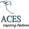 More about Aces Learning Hub
